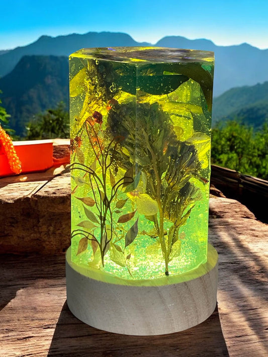 Nature’s Glow Resin Lamp