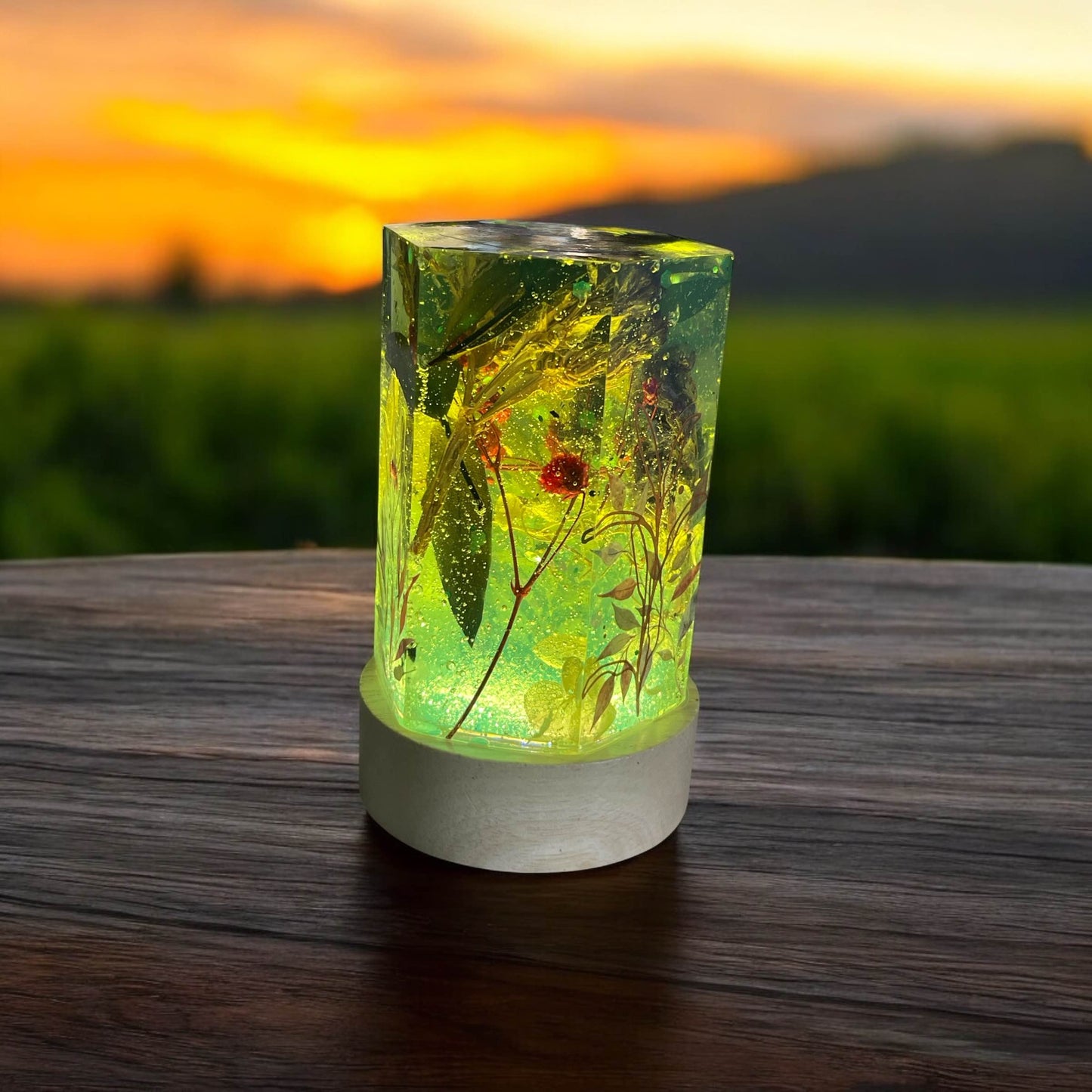 Nature’s Glow Resin Lamp